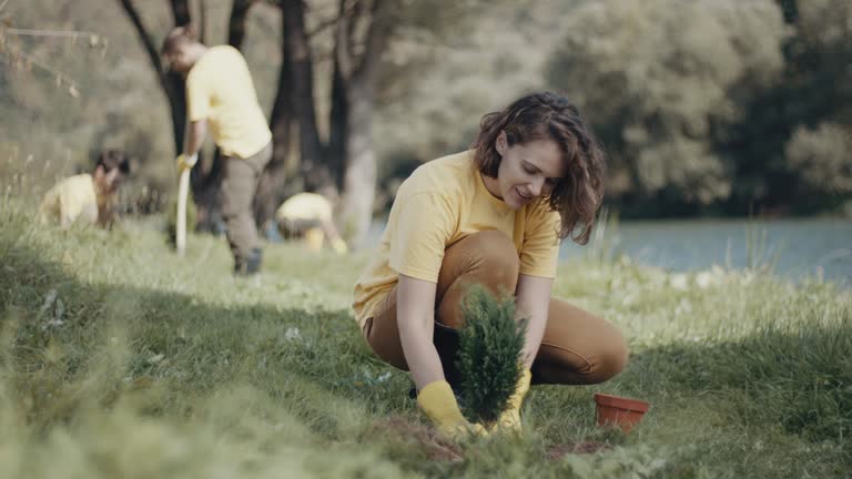 Best Mulching Services  in Belvedere, CA
